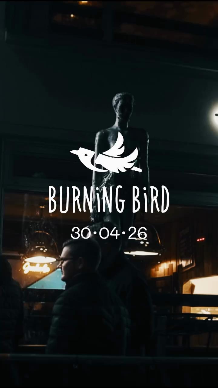 Gewinnspiel: Burning Bird