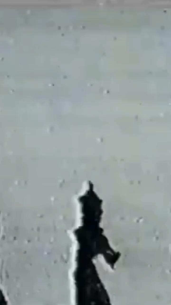 KRAUTHAMMER XII with Ubu.zip, Watoo & Liminal Sound Device